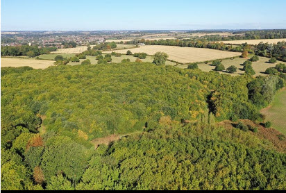 Reclaimed green land