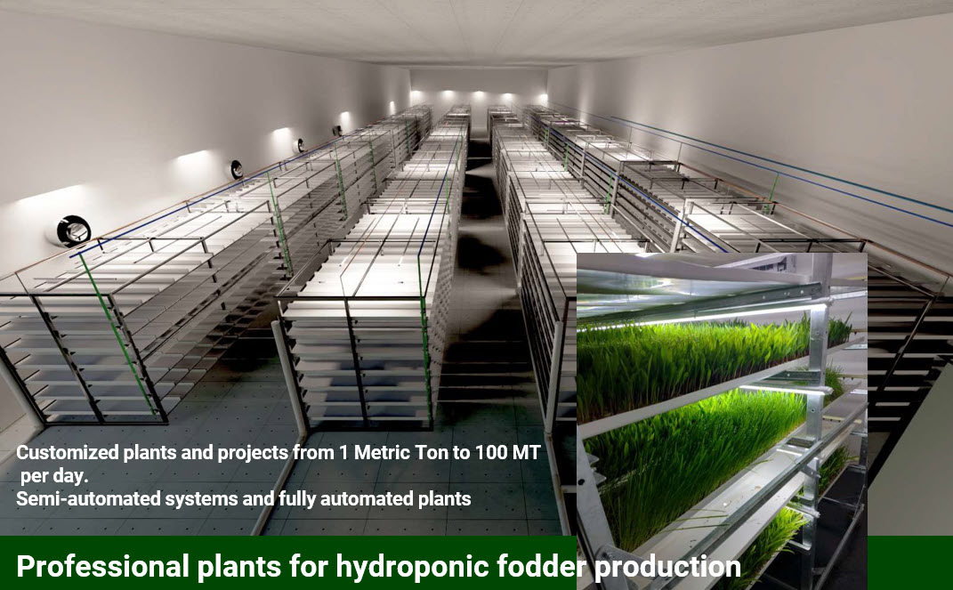 Horse Fodder System