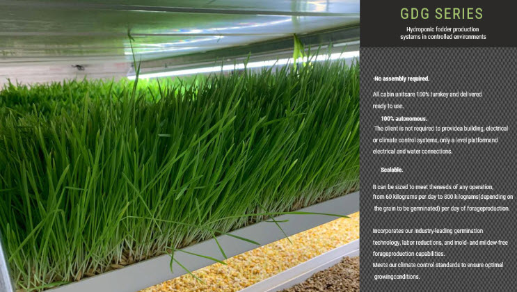 Automated hydroponic growing system