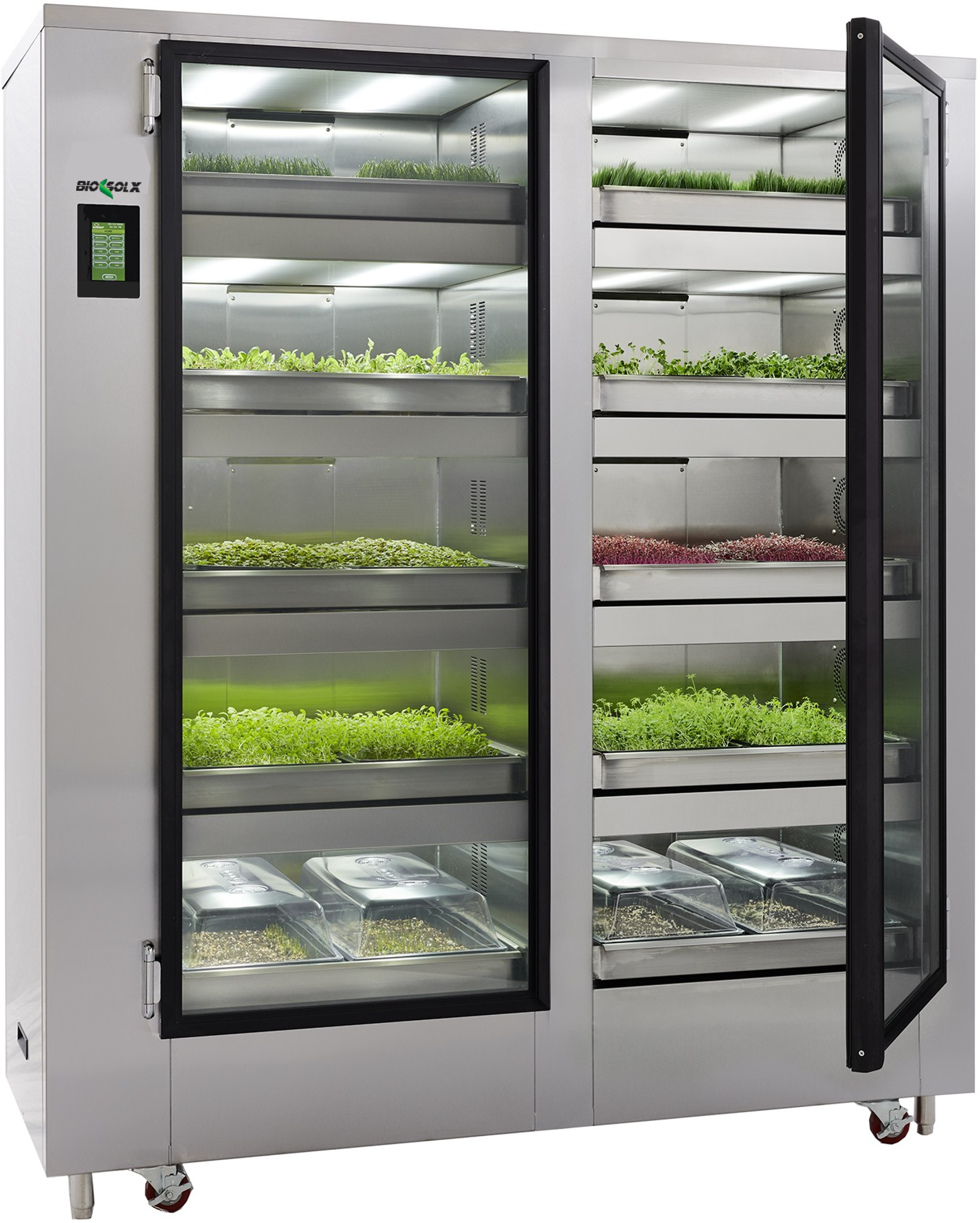 Hydroponic Microgreens